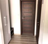 A studio apartment with a wood-patterned floor, dark doors, and a white wardrobe.