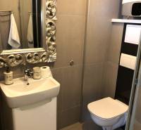 A bathroom in a 2-room apartment with a timeless mirror, sink, and wall-mounted toilet.