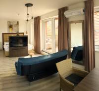 Bright 2-room apartment with wood-patterned flooring, a sofa, and large windows.