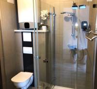 A bathroom in a 2-room apartment with a shower and a wall-mounted toilet.