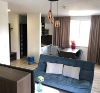 Living room in a two-room apartment with a sofa and a dining table; floor with wood decor.