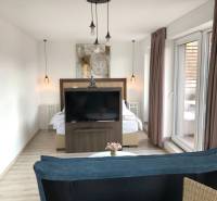 Living room in a two-room apartment with a wooden decor floor and a separate bedroom area.