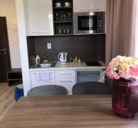 A kitchen in a 2-room apartment with white cabinets and a microwave.