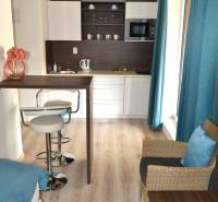 A kitchen in a 2-room apartment with a bar counter and a wooden decor floor.