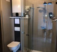 Bathroom in a 2-room apartment with a shower and toilet, elegant decoration.