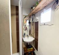 Compact bathroom with a wooden shelf and a shower enclosure in a family house.