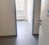 Office interior with white walls, wood-patterned flooring, and a door with a window.