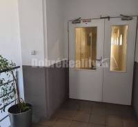 A hallway in offices with plants, white doors, and a painting on the wall.