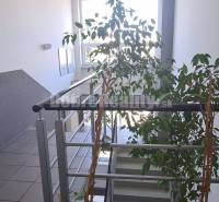 Offices with plants and a staircase, walls decorated with paintings and a fire extinguisher.