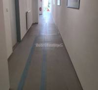 A long corridor with white walls, ceiling lights, and pictures in the offices.