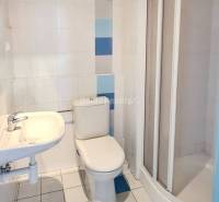 Bathroom with toilet, shower, and sink in the office.