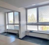 A spacious office with large windows and a wooden decor floor.