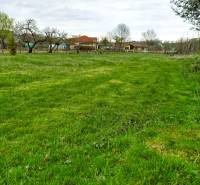 Greenery and houses in Horné Kráľová, suitable for residential plots.