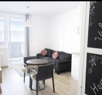 Living room in a 2-room apartment with a wooden decor floor and a balcony.