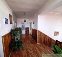 A hallway with a wooden decor floor in a family house, decorated with plants and paintings.