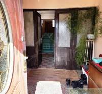 Entrance hallway of a family house with a shoe cabinet and houseplants.