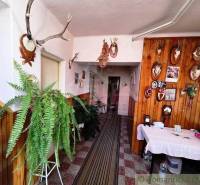 The interior of a family house with hunting trophies and ferns in a decorative style.