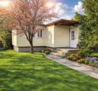 Ilustracne foto AI.png