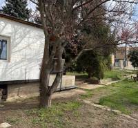 A family house in Podkerepušky in Záhorská Bystrica, surrounded by trees and a green lawn.