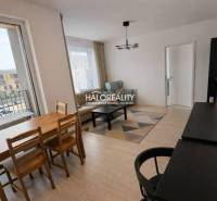 Living room in a 2-room apartment with a balcony, wooden decor flooring, dining table.