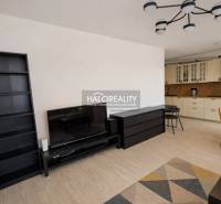Living room in a two-room apartment with a kitchenette and a wooden decor floor.