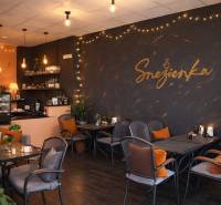 Gastro premises with wooden decor flooring, comfortable seating, and subdued lighting.