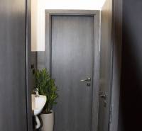 Interior with a sink, plant, and doors, floor with wood decor in a gastro space.