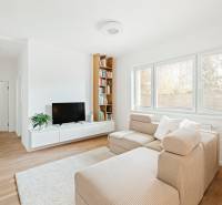 Bright living room in a 4-room apartment with wood-patterned flooring, a sofa, and a TV.