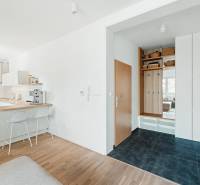 Entrance hallway in a 4-room apartment with a wooden decor floor and a kitchenette.