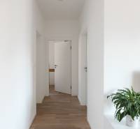 White interior hallway with wood-patterned flooring and a plant next to the television.