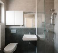 Bathroom in a 4-room apartment with a sink, shower, toilet, and cabinet.