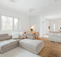 Bright living room with a kitchenette, sofa, and wooden decor flooring.