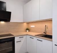 A kitchen in a 2-room apartment with a wood decor, white cabinets, and a black sink.