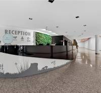 BBC_1_recepcia