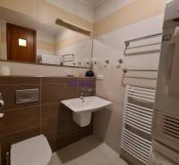 Bathroom in a 2-room apartment with a toilet, sink, and a white ladder radiator system.