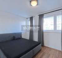 Bedroom with a bed in a 2-room apartment, windows with blinds, floor with wooden decor.