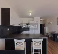 Kitchen and dining area in a 2-room apartment with a wooden decor floor.