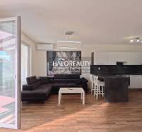 Living room and kitchen in a two-room apartment with a wooden decor floor.