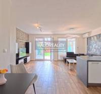 2-room apartment with wood-patterned flooring and a bright kitchen.