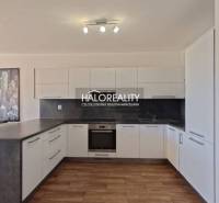 A kitchen in a 2-room apartment with a wooden decor floor, white cabinets, and a painting.