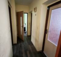 A hallway in a family house with a wooden decor floor, light walls, and glass doors.