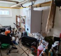 The shed in the family house contains a bicycle, tools, a boiler, and various sports equipment.