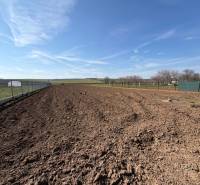 Arable land near a family house in Belince, surrounded by trees and fencing.