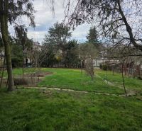 Greenery on a residential plot in Bohdanovce surrounded by trees and shrubs.