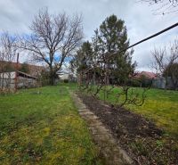A garden in Bohdanovce with a lawn and trees, ideal for residential plots.