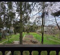 A view of a green plot in Bohdanovce surrounded by trees for living.