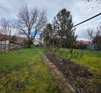 A garden in Bohdanovce with a lawn and trees, ideal for residential plots.