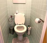 A bathroom with light blue tiles, a white toilet, a rug, and a toilet paper holder.