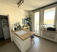 A kitchen with an island, plants, and a large window in a three-room apartment.