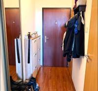 Entrance hallway in a 3-room apartment with a wood-patterned floor and practical furniture.
